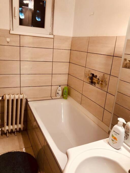 Nice Apt Near Spitalul Judetean, All You Need Lr14 Тимишоара Екстериор снимка