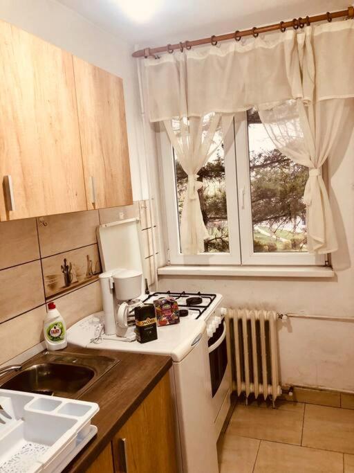 Nice Apt Near Spitalul Judetean, All You Need Lr14 Тимишоара Екстериор снимка