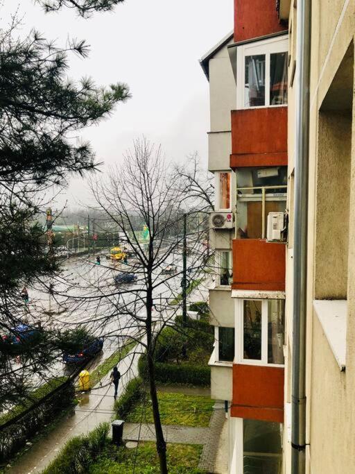 Nice Apt Near Spitalul Judetean, All You Need Lr14 Тимишоара Екстериор снимка
