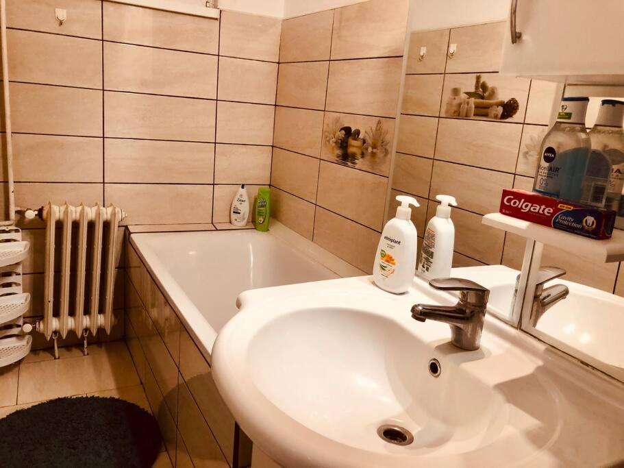 Nice Apt Near Spitalul Judetean, All You Need Lr14 Тимишоара Екстериор снимка