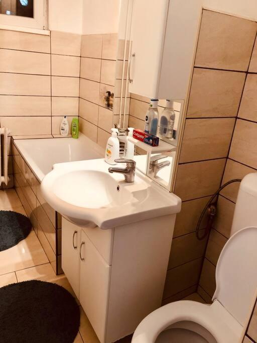 Nice Apt Near Spitalul Judetean, All You Need Lr14 Тимишоара Екстериор снимка