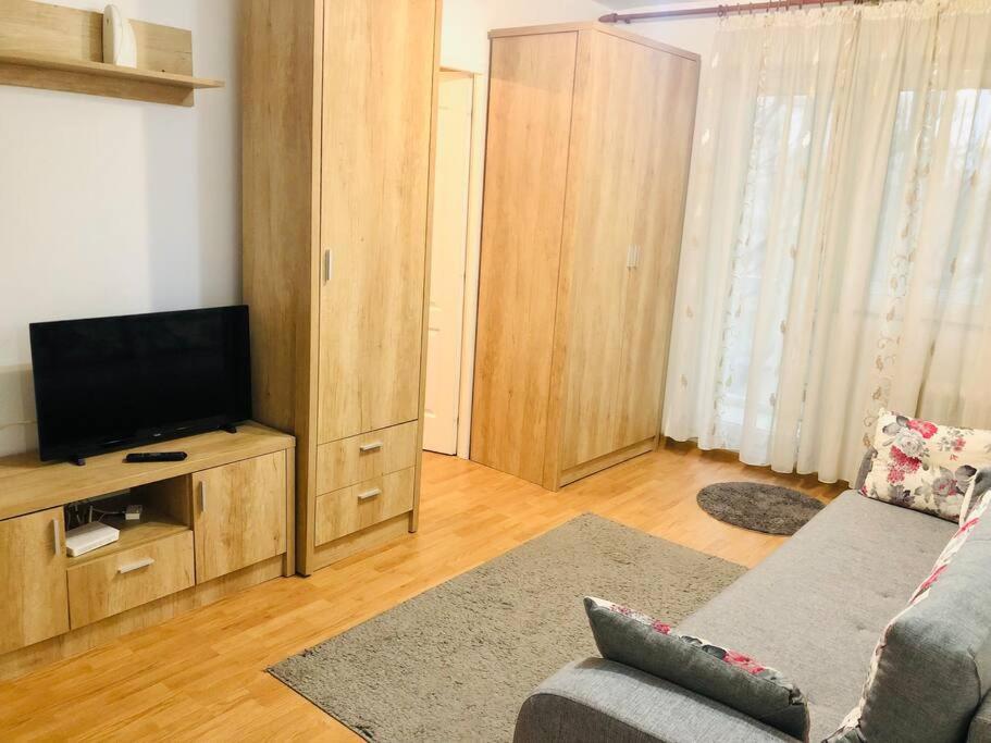 Nice Apt Near Spitalul Judetean, All You Need Lr14 Тимишоара Екстериор снимка