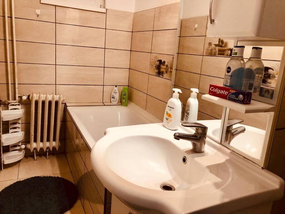 Nice Apt Near Spitalul Judetean, All You Need Lr14 Тимишоара Екстериор снимка