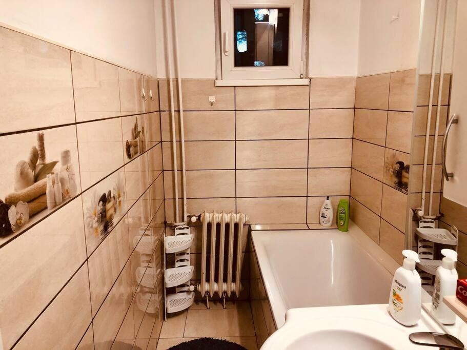 Nice Apt Near Spitalul Judetean, All You Need Lr14 Тимишоара Екстериор снимка