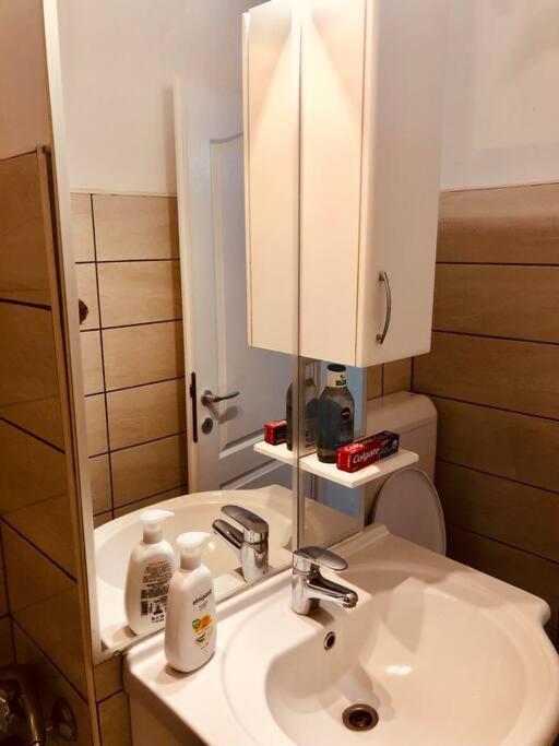 Nice Apt Near Spitalul Judetean, All You Need Lr14 Тимишоара Екстериор снимка