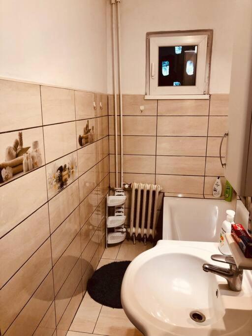 Nice Apt Near Spitalul Judetean, All You Need Lr14 Тимишоара Екстериор снимка