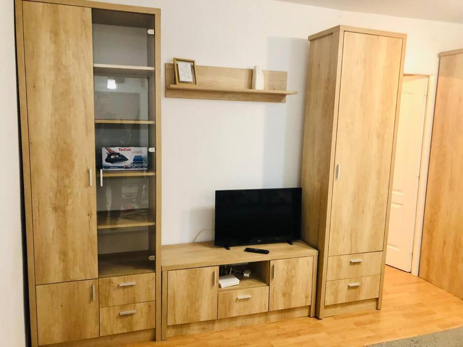 Nice Apt Near Spitalul Judetean, All You Need Lr14 Тимишоара Екстериор снимка