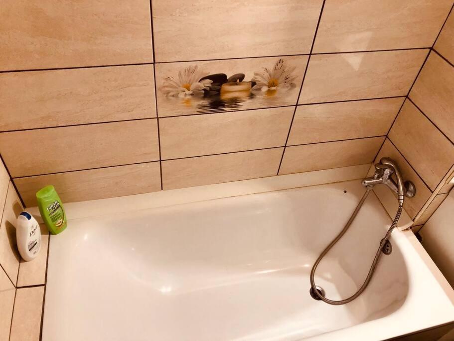 Nice Apt Near Spitalul Judetean, All You Need Lr14 Тимишоара Екстериор снимка