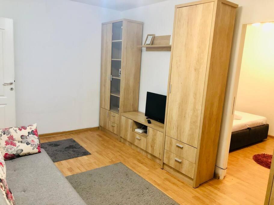 Nice Apt Near Spitalul Judetean, All You Need Lr14 Тимишоара Екстериор снимка